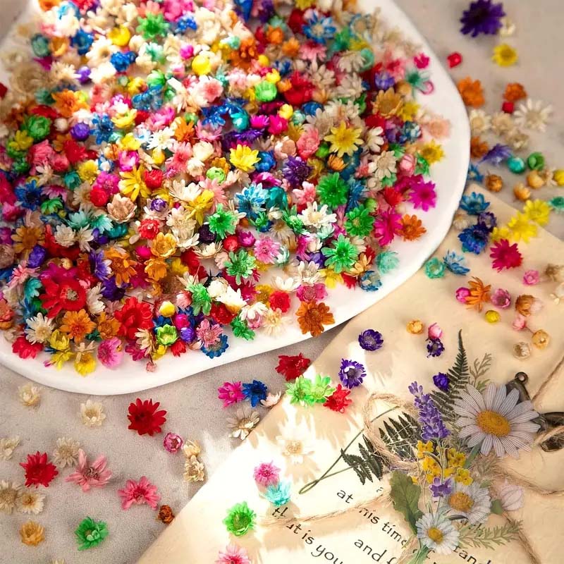 Mixed Colorful Flower for Wax  – Candle Supplies Bulk Bewertung und Preis
