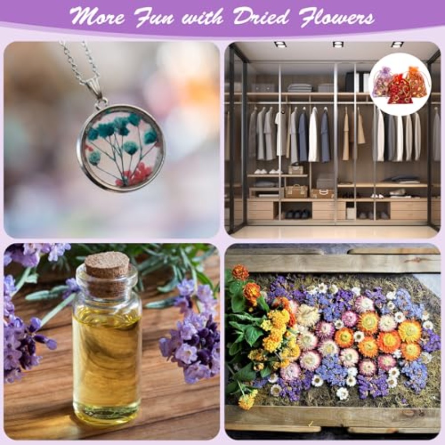 9 Bags Dried Flowers Candle an – Candle Supplies Bulk Bewertung und Preis